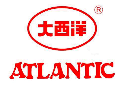 内蒙古大西洋工程材料有限公司